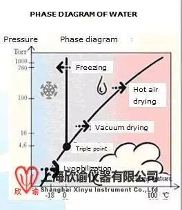 一個(gè)好的凍干成品需要配注意崩解溫度和加熱速率